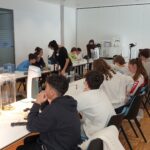 Zirkeltraining Klimaarena